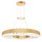 Cwi Lighting Bjoux LED Chandelier With Sun Gold Finish 1219P24-1-625 - alternate 3